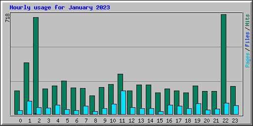 Hourly usage for January 2023