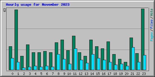 Hourly usage for November 2023